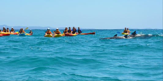 Summer at Go Sea Kayak Byron Bay
